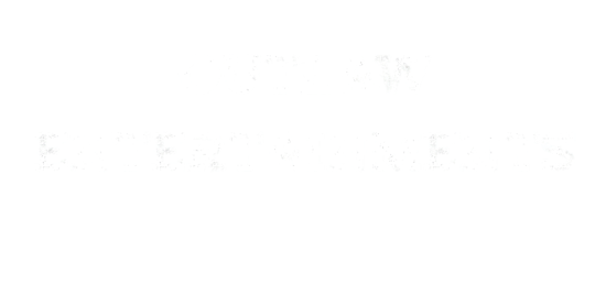 Outlaw Entertainment logo