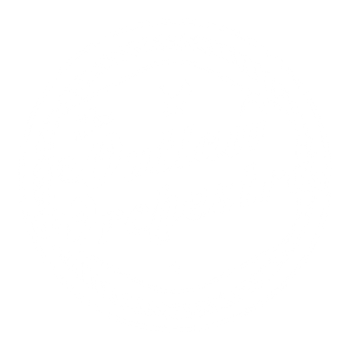 The Outlaw Orchestra logo
