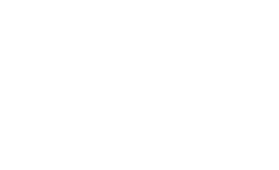 Swamp Stomp String Band logo