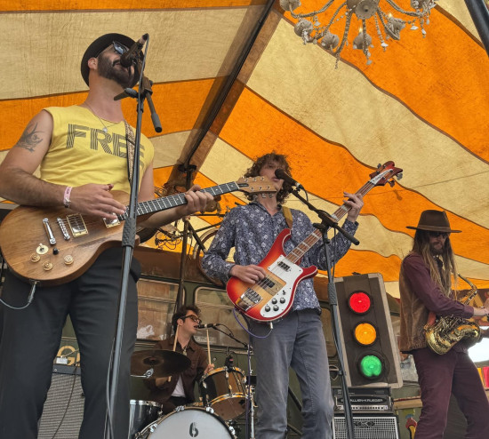 The Surfin' Birds promotional photo